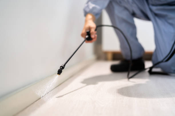 Licensed Mosquito Control service in Langdon, ND - Show Me Pest Control