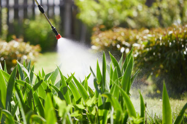 24/7 Emergency Mosquito Control experts in Langdon, ND